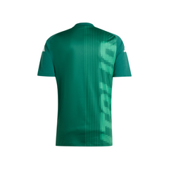 Italy Pre-Match Shirt 24-25