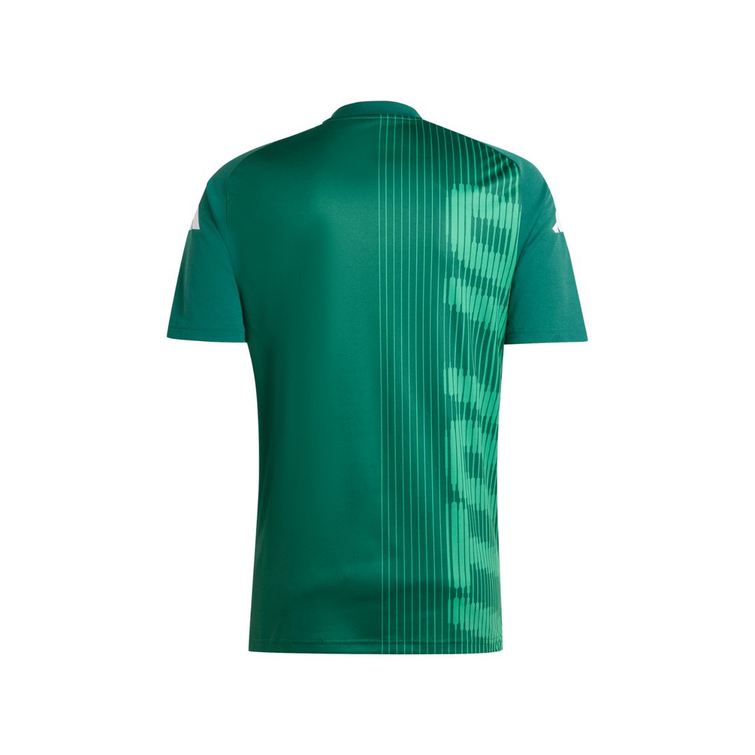 Italy Pre-Match Shirt 24-25