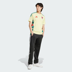 Wales 2024 Away Jersey